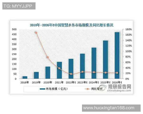 武汉排球队在世界锦标赛中的团队协作表现深度点评与分析