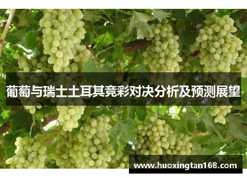 葡萄与瑞士土耳其竞彩对决分析及预测展望